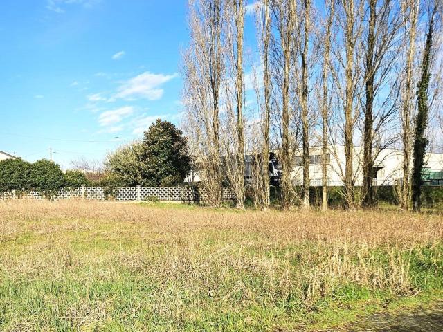 Terreno in vendita a Bassa Reggiana, Re