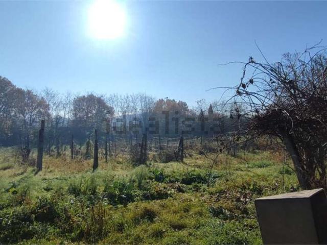 Terreno in vendita a Villanova, Viterbo