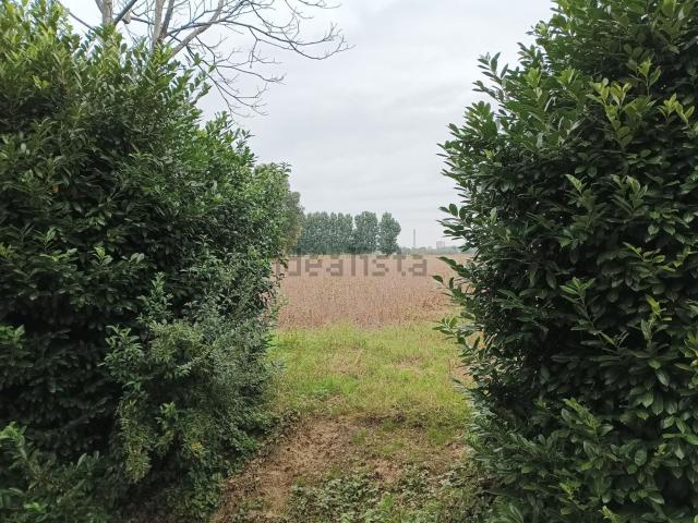 Terreno in vendita a Mogliano Veneto, Veneto