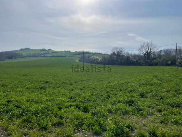 Terreno in vendita a Unione di Comuni della Romagna Forlivese, Bertinoro