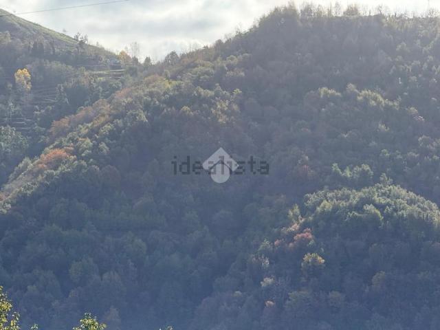 Terreno in vendita a Calabria, Cosenza