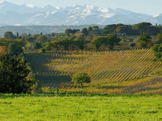 Terreno in vendita a Marche, Macerata