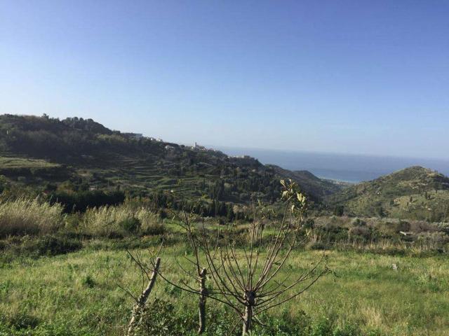 Terreno in vendita a Maletto, Sicilia