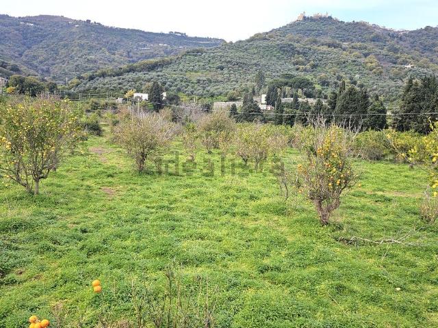 Terreno in vendita a Naso, Sicilia
