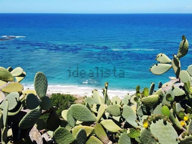 Terreno in vendita a Calabria, Vibo Valentia