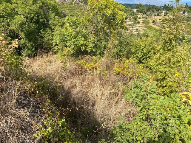 Terreno in vendita a Milo, Sicilia