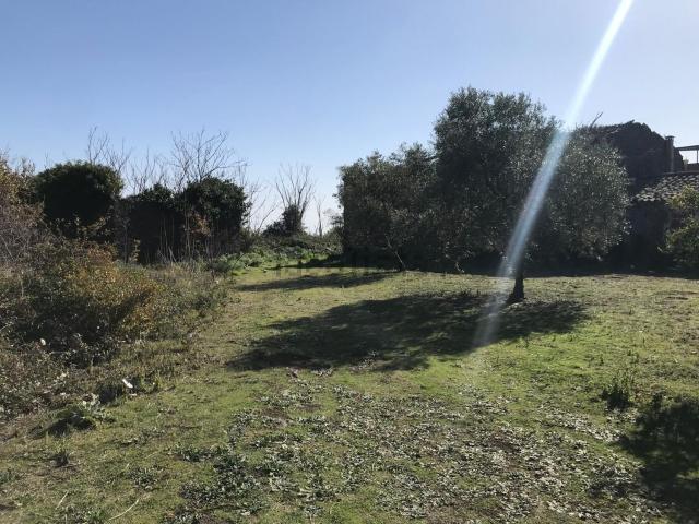 Terreno in vendita a Aci Bonaccorsi, Sicilia