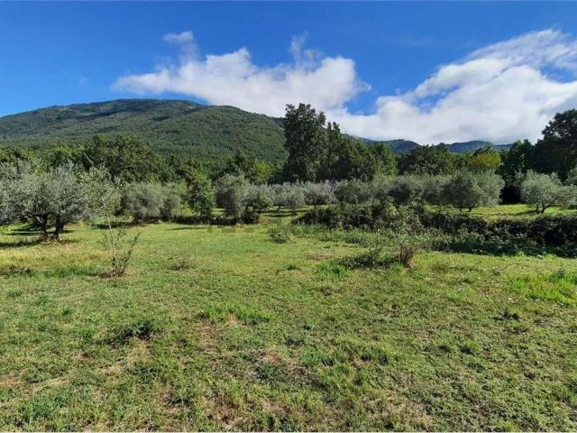 Terreno in vendita a Veroli, Lazio