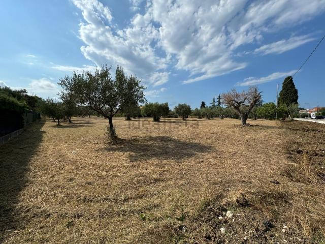 Terreno in vendita a Treglio, Abruzzo