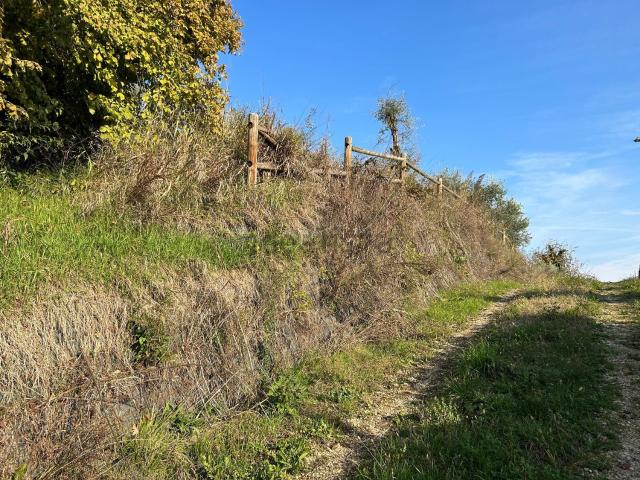 Terreno in vendita a Mason Vicentino, Veneto