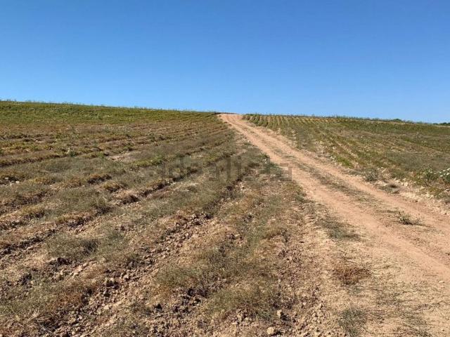 Terreno in vendita a Noto, Sicilia