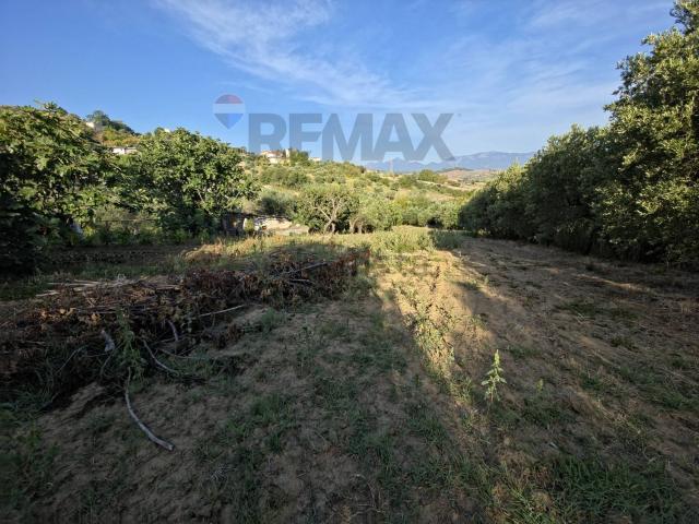 Terreno in vendita a San Marco Argentano, Cosenza