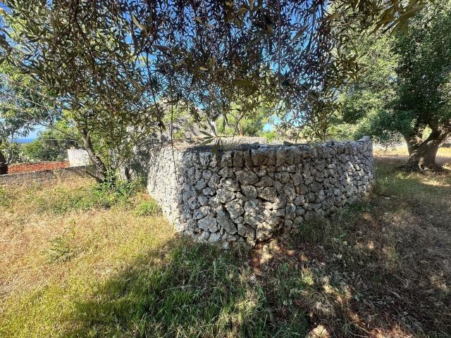 Terreno in vendita a Puglia, Brindisi