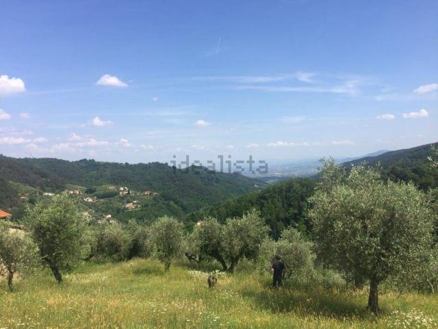 Terreno in vendita a Marliana, Montagnana