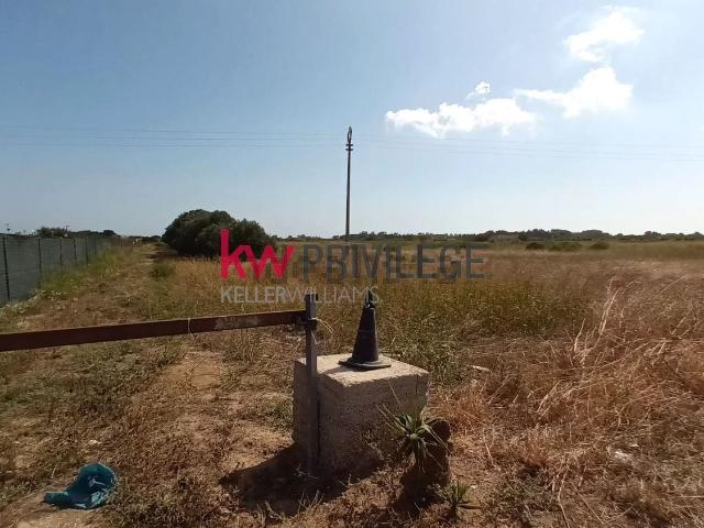 Terreno in vendita a Mitrano, Puglia
