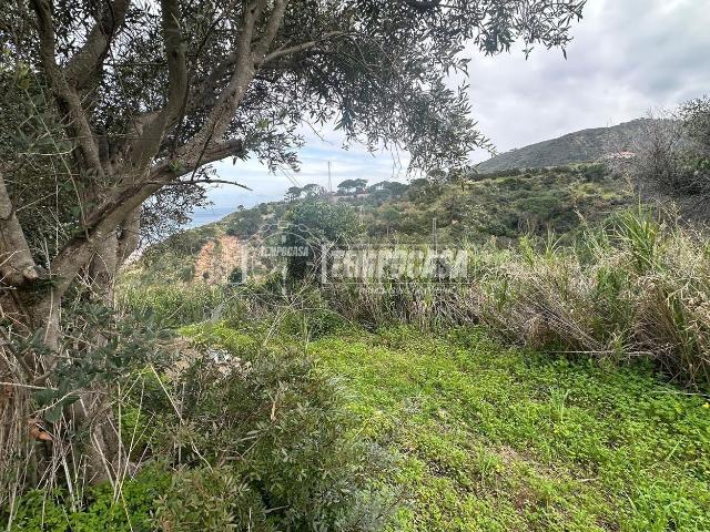 Terreno in vendita a VI Circoscrizione, Messina