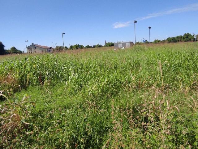 Terreno in vendita a Cagnano, Pojana Maggiore