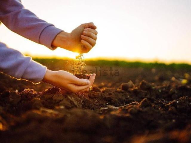 Terreno in vendita a Ceneselli, Veneto