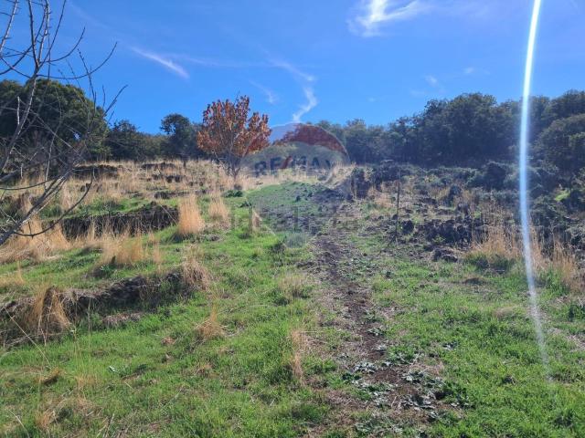 Terreno in vendita a Santa Maria Di Licodia, Sicilia