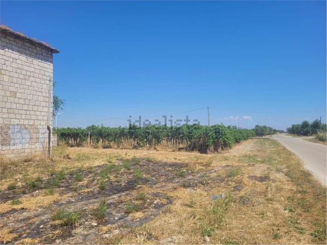 Terreno in vendita a Puglia, Foggia