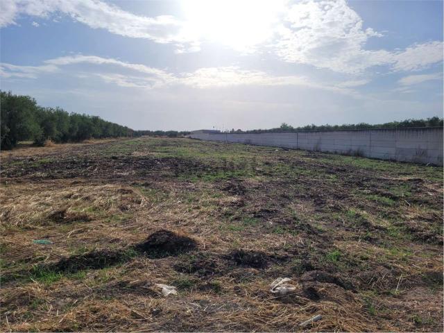 Terreno in vendita a Puglia, Foggia
