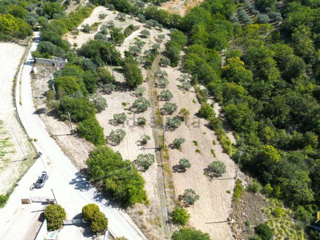Terreno in vendita a Chiaramonte Gulfi, Sicilia
