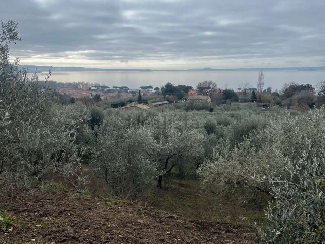 Terreno in vendita a Bolsena, Lazio