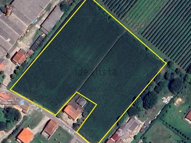 Terreno in vendita a San Pietro Di Morubio, Veneto