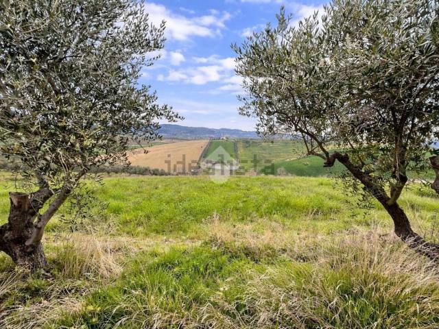 Terreno in vendita a Atri, Abruzzo