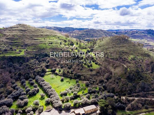 Terreno in vendita a Vizzini, Sicilia