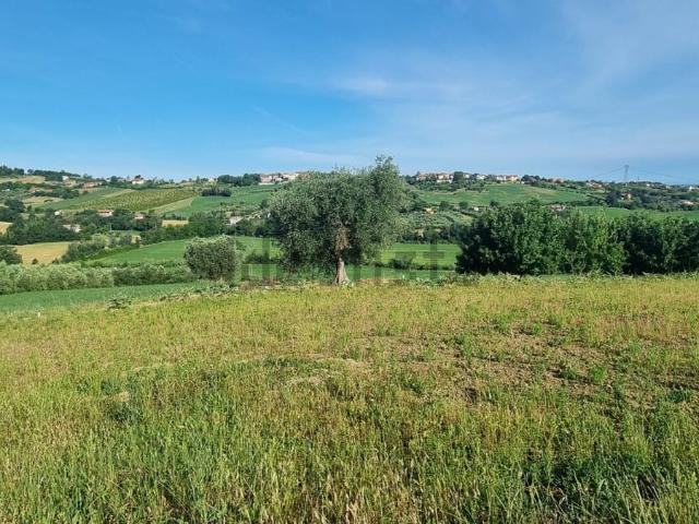 Terreno in vendita a Marche, Pesaro E Urbino