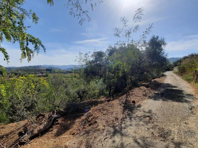Terreno in vendita a Spadafora, Sicilia