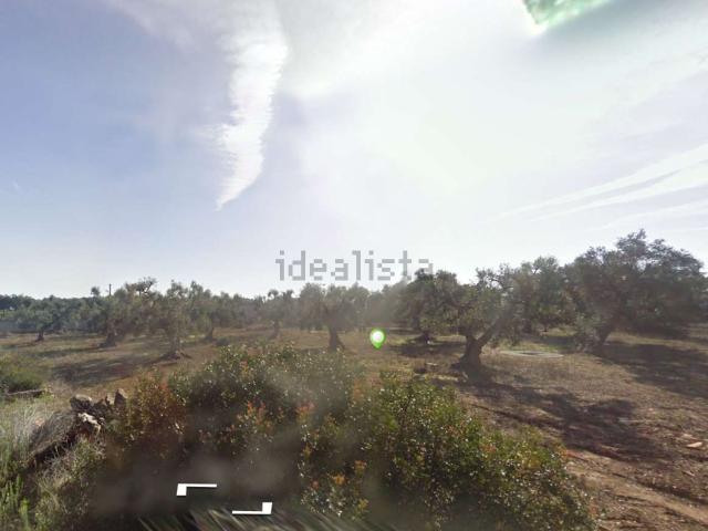 Terreno in vendita a Puglia, Taranto