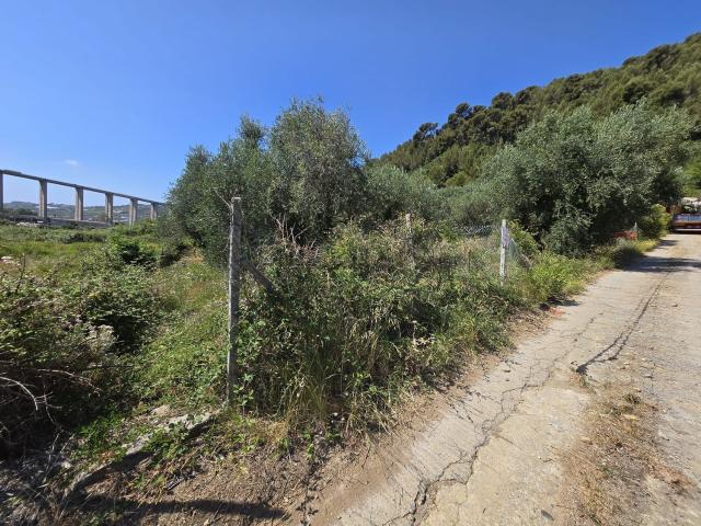Terreno in vendita a Baiardo, Liguria