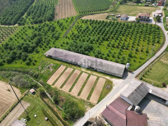 Terreno in vendita a Piemonte, Cuneo