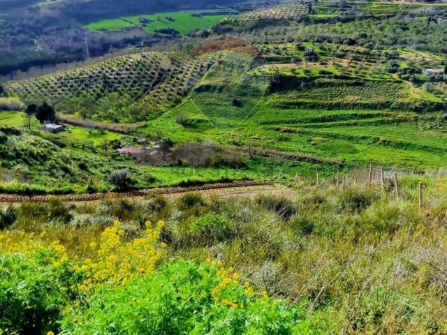 Terreno in vendita a Caltagirone, Catania