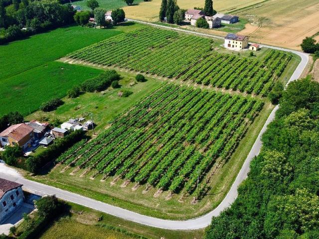 Terreno in vendita a Unione delle Terre d'Argine, Novi Di Modena