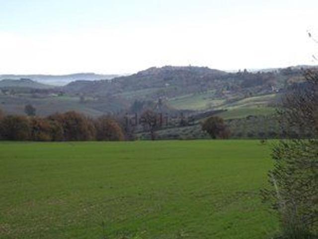 Terreno in vendita a Santa Maria in Piana, Marche