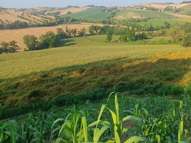 Terreno in vendita a Marche, Macerata