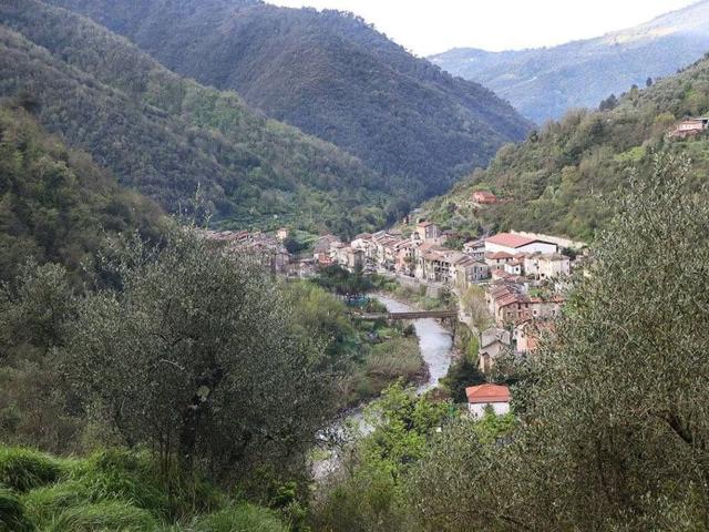 Terreno in vendita a Isolabona, Liguria