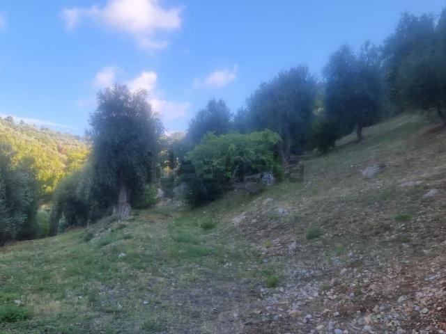 Terreno in vendita a Puglia, Foggia