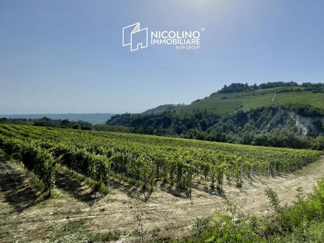 Terreno in vendita a Piemonte, Cuneo