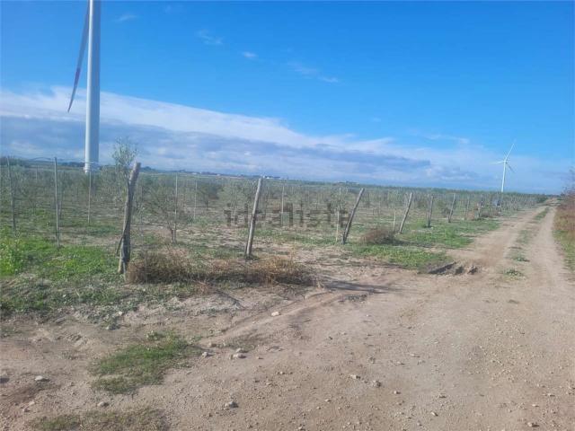 Terreno in vendita a Puglia, Foggia