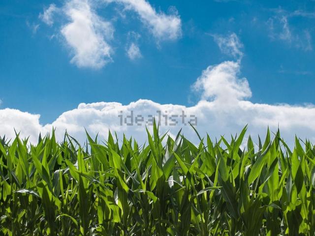 Terreno in vendita a Cella, Misano Adriatico