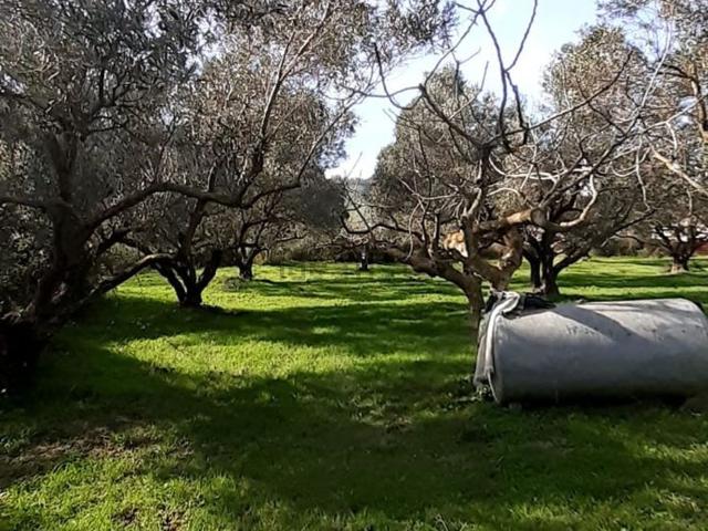 Terreno in vendita a Santa Maria, Calabria