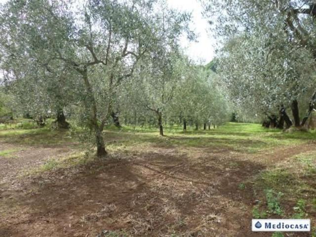 Terreno in vendita a Cevoli, Montefiascone