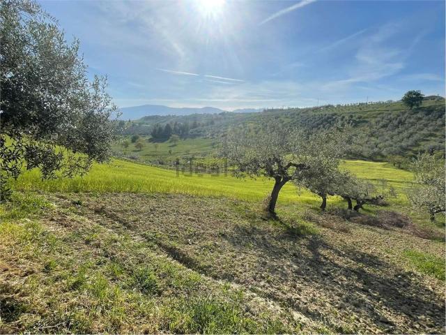 Terreno in vendita a Pianella, Abruzzo
