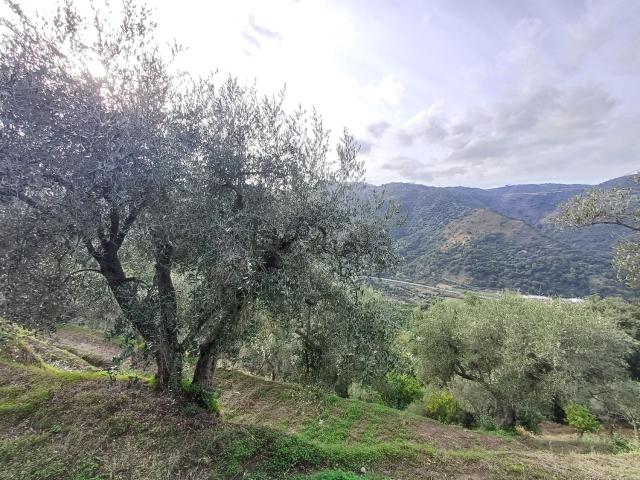 Terreno in vendita a Ficarra, Sicilia
