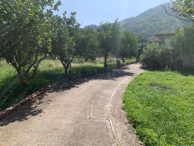 Terreno in vendita a Santa Lucia Di, Sicilia