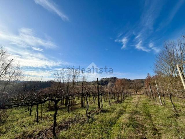 Terreno in vendita a Casperia, Lazio
